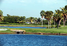 crandongolfbiscayneL3_FL.jpg - Teebone Golf Courses Images