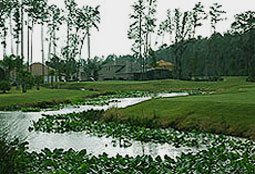 magnoliaplantationgcL3_FL.jpg - Teebone Golf Courses Images