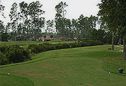magnoliaplantationgcL4_FL.jpg - Teebone Golf Courses Images